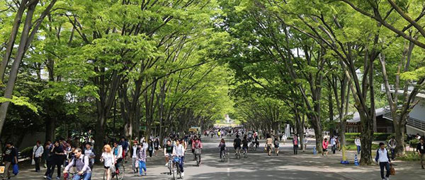 일본 도카이대학 2022학년도 원서 접수기간 4.jpg