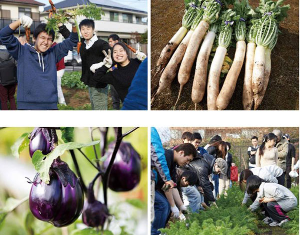 도쿄스시와쇼쿠조리전문학교 캠퍼스 이벤트 4.jpg