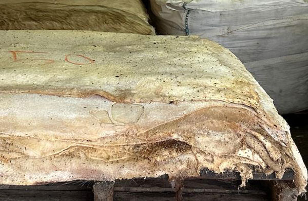 히코미즈노주얼리컬리지 가죽연수여행 8.jpg