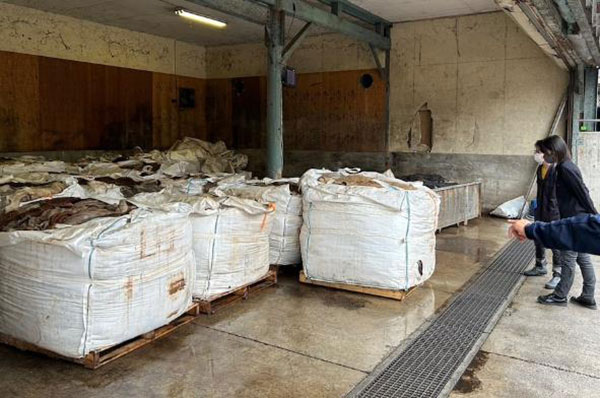 히코미즈노주얼리컬리지 가죽연수여행 7.jpg