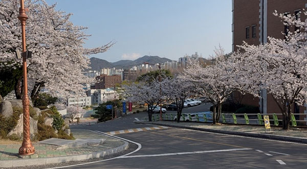 다이토분카대학 교환유학 체험기 4.jpg