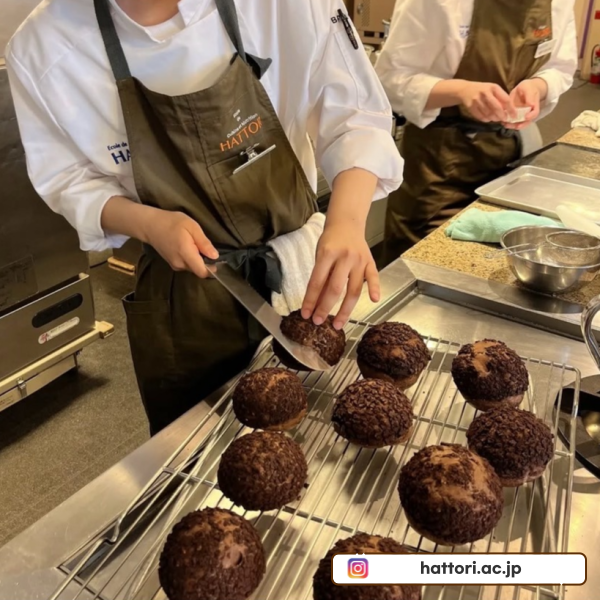 핫토리영양전문학교 2026년도 입시 2.png