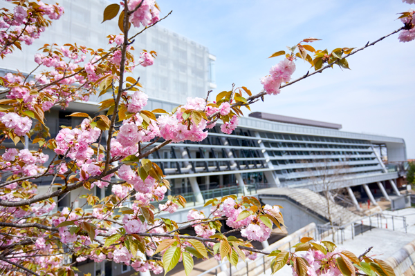 다이토분카대학 9.jpg