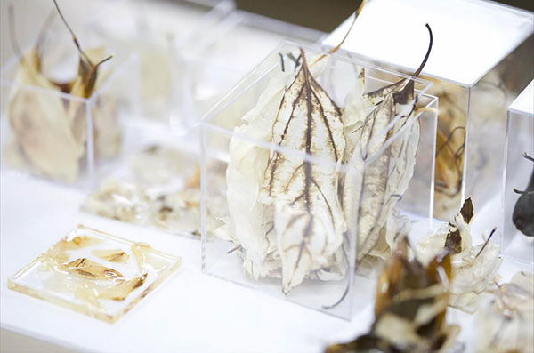 ICS컬리지오브아츠 소재를 인테리어 디자인으로 바꾸는 수업 5.jpg