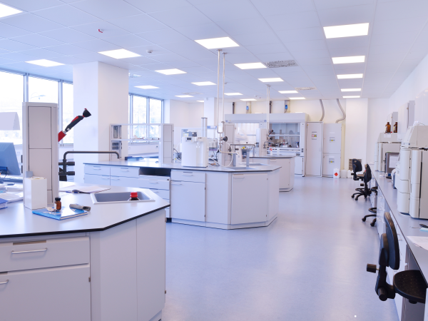 약사는 약만 주는 직업일까 요코하마약과대학 약학부 진로 4.png