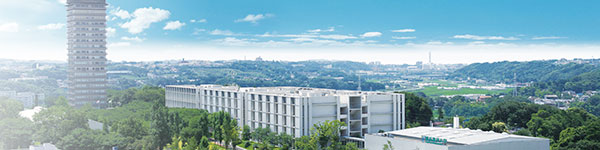 일본 약사 연봉 얼마일까 생각보다 높은 이유 7.jpg