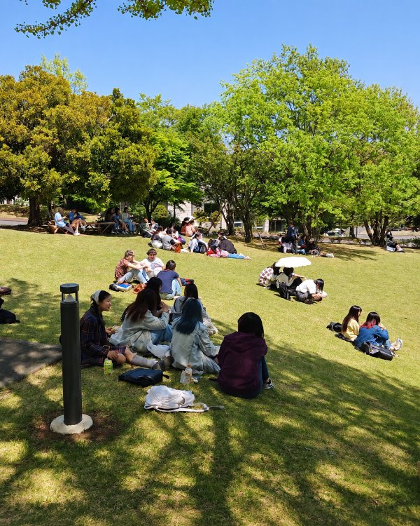 [타마미술대학] 합격자 실기작품을 직접 볼 수 있다고 111~3 예술제·대학설명회 1.jpg